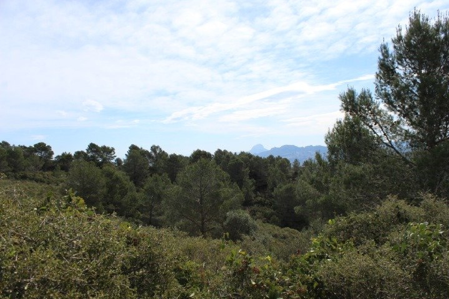  till salu hus på landet Platja D'oliva Safor 1