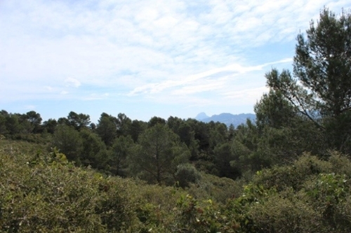 Platja D''oliva Safor hus på landet foto 6232722