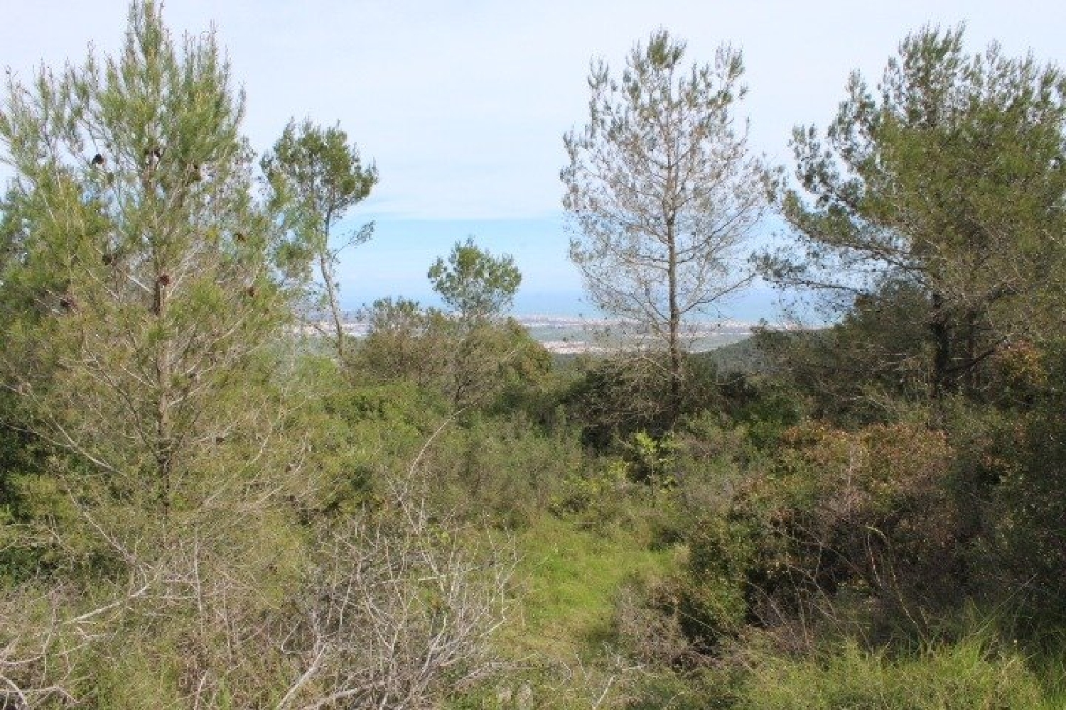  till salu hus på landet Platja D'oliva Safor 6