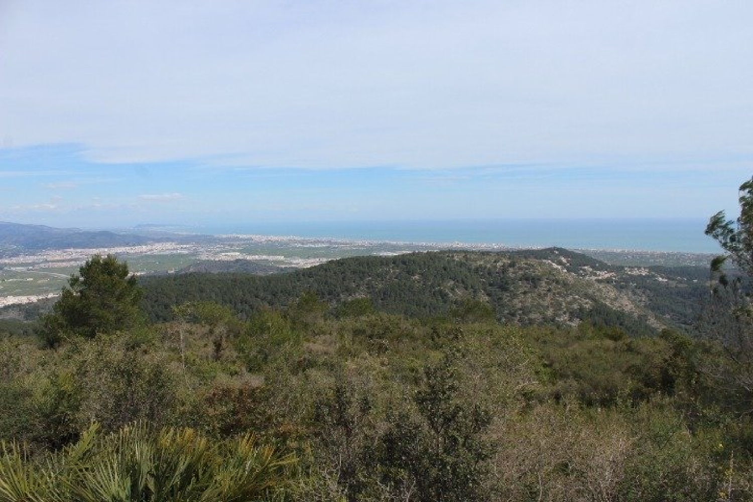 till salu hus på landet Platja D'oliva Safor 2