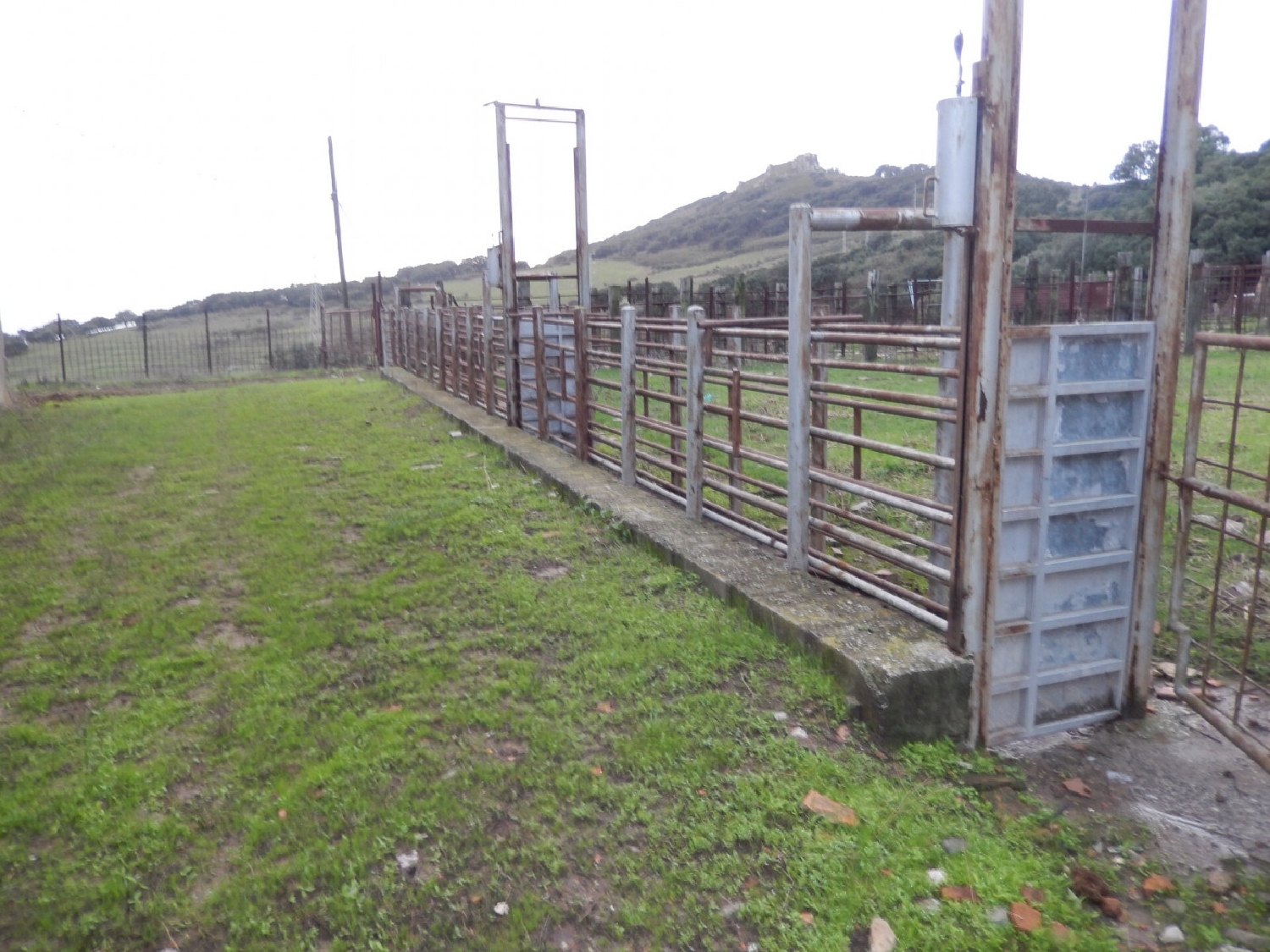  till salu hus på landet El Pelayo Campo De Gibraltar 4