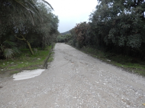 El Pelayo Campo De Gibraltar hus på landet foto 6258068
