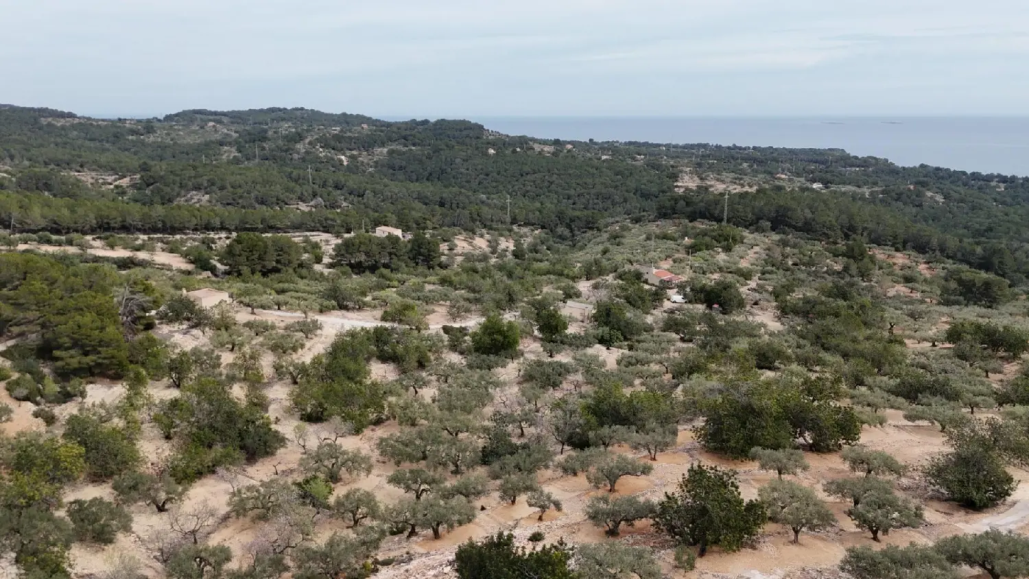 till salu hus på landet Perello-Mar Baix Ebre 2