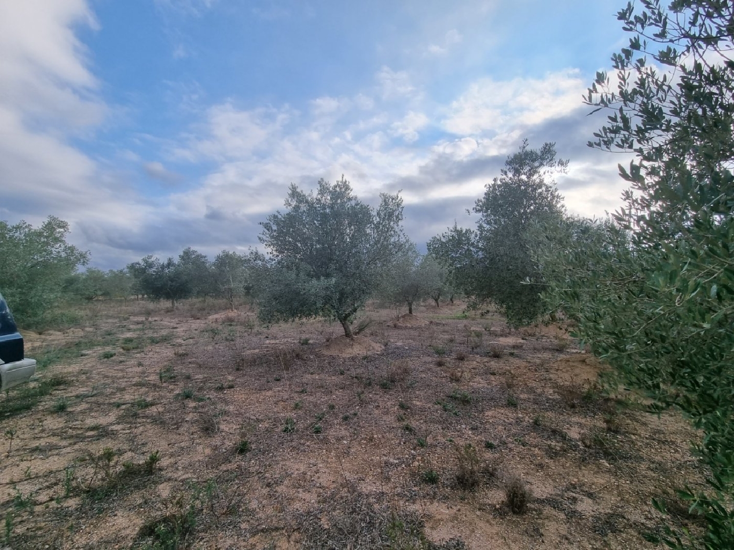  till salu hus på landet El Perelló Baix Ebre 8