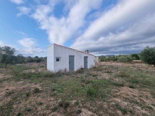 El Perelló Baix Ebre hus på landet foto 6257141
