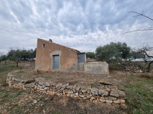 El Perelló Baix Ebre hus på landet foto 6257145