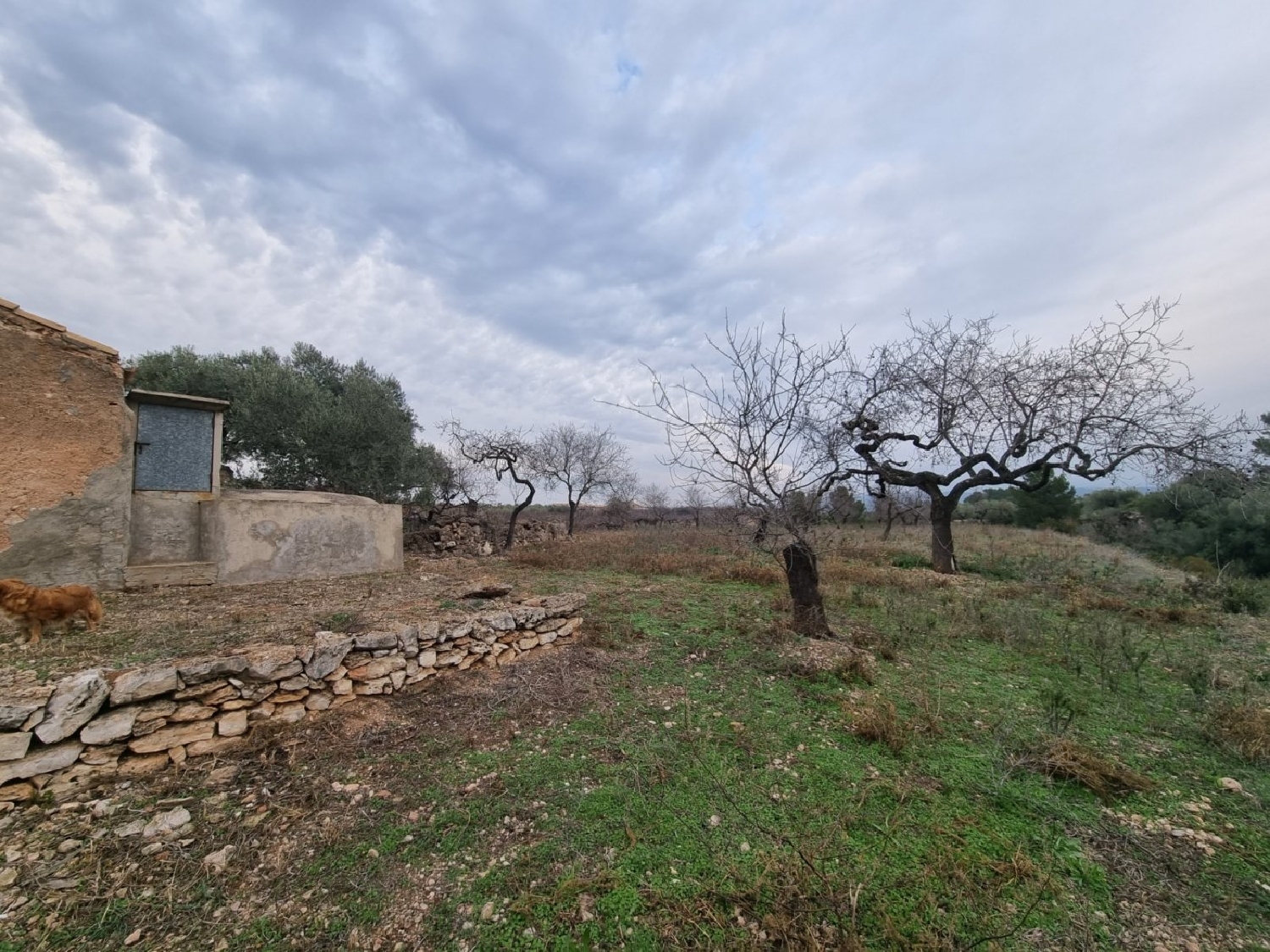  till salu hus på landet El Perelló Baix Ebre 4