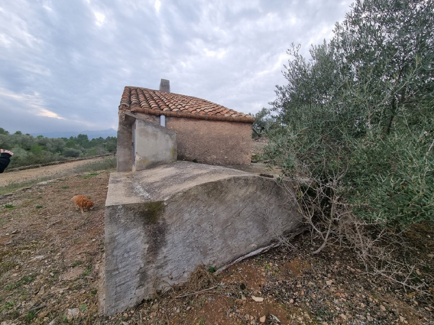 till salu hus på landet El Perelló Baix Ebre 3