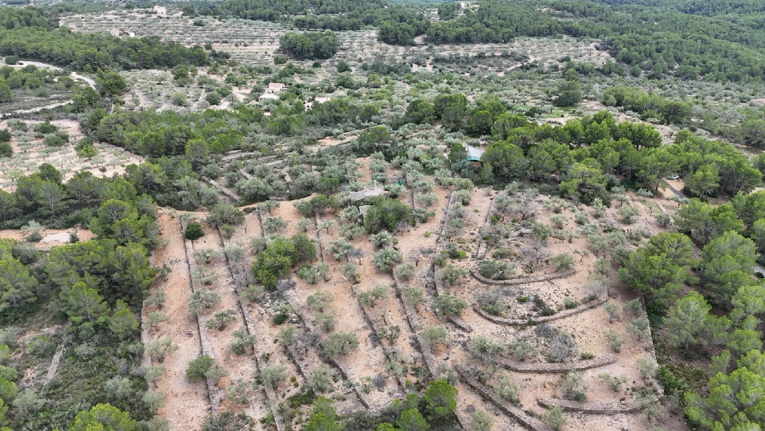  till salu hus på landet El Perelló Baix Ebre 4