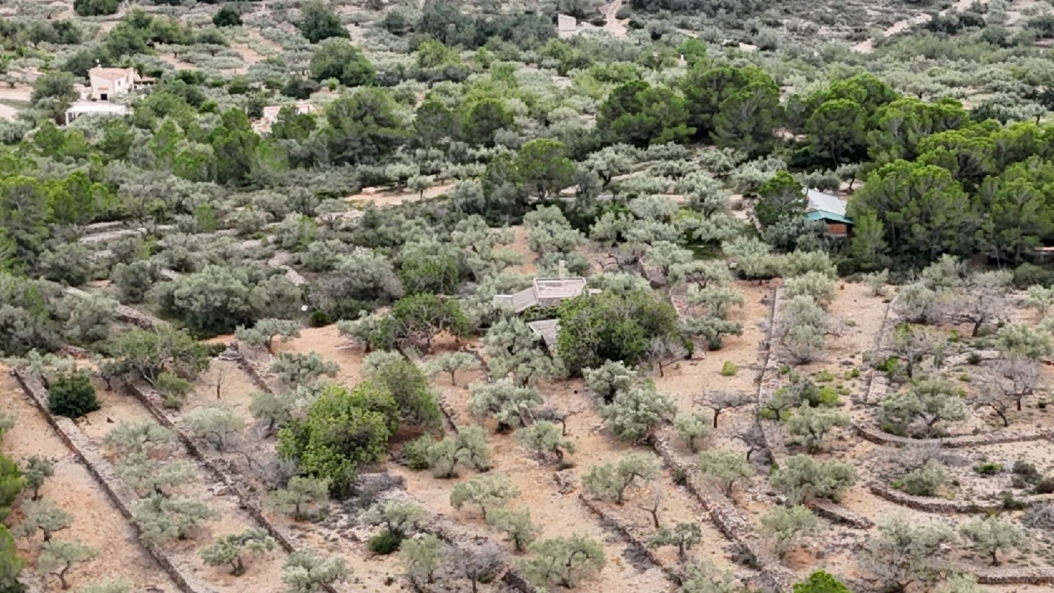  till salu hus på landet El Perelló Baix Ebre 5