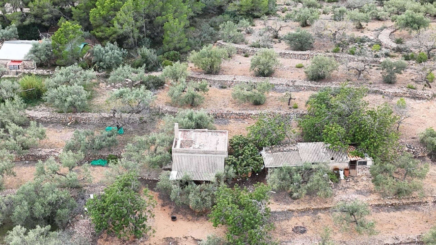 till salu hus på landet El Perelló Baix Ebre 2