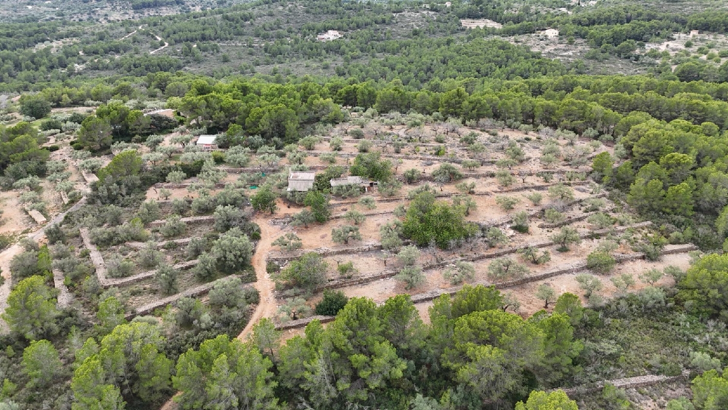  till salu hus på landet El Perelló Baix Ebre 6