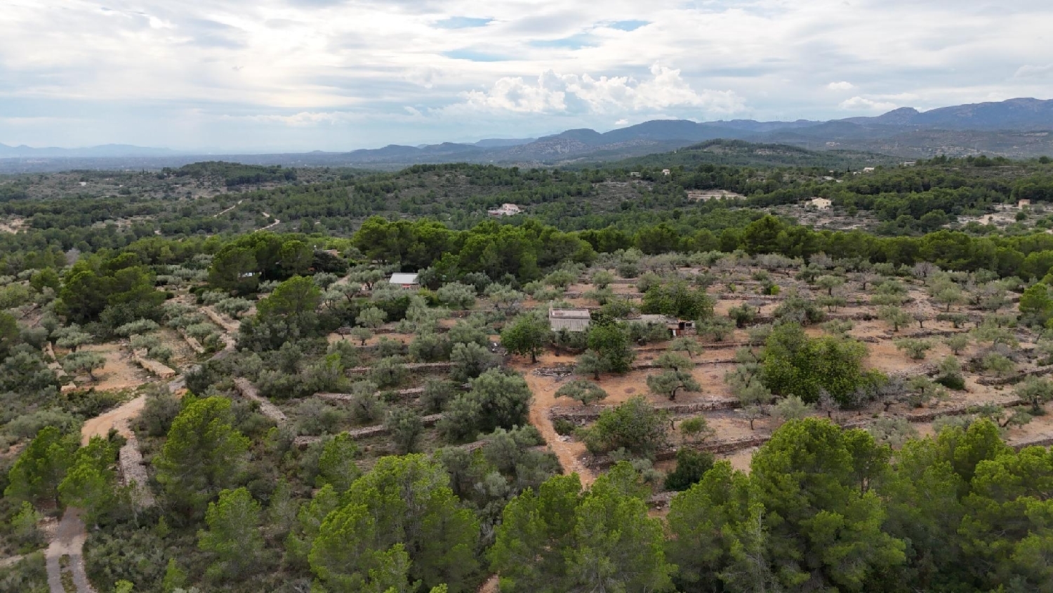  till salu hus på landet El Perelló Baix Ebre 7
