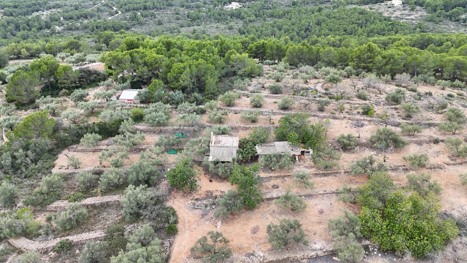 till salu hus på landet El Perelló Baix Ebre 3