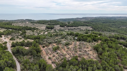 El Perelló Baix Ebre hus på landet foto 6257191