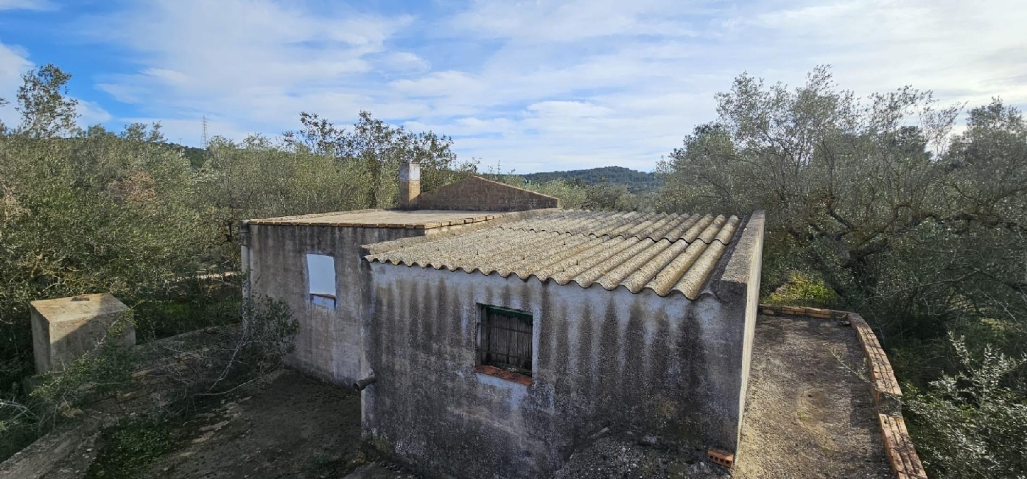  till salu hus på landet El Perelló Baix Ebre 7