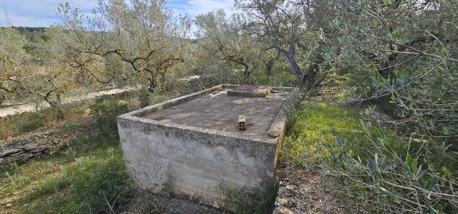  till salu hus på landet El Perelló Baix Ebre 8