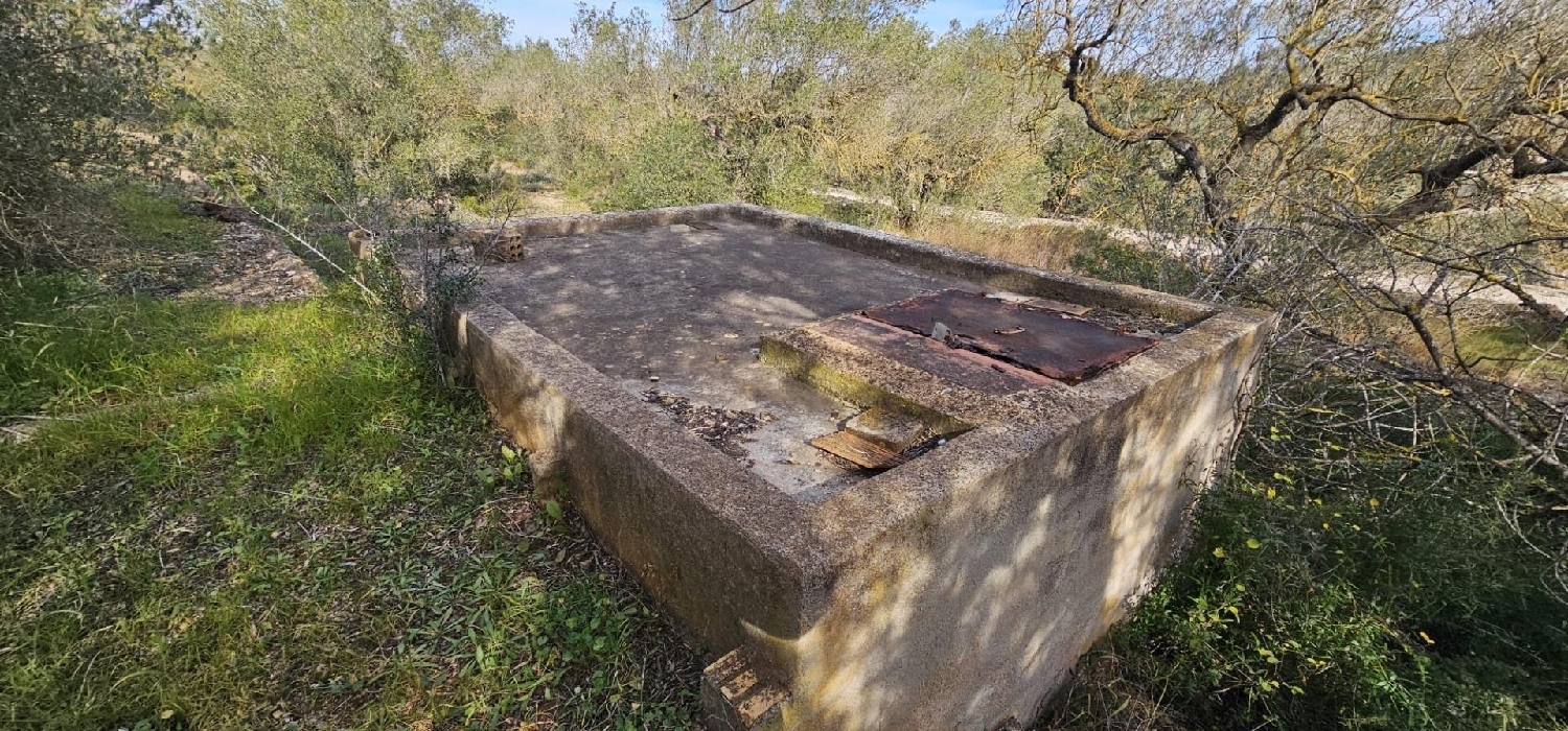  till salu hus på landet El Perelló Baix Ebre 6