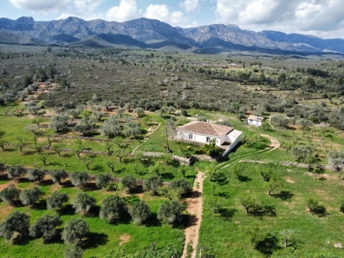 El Perelló Baix Ebre hus på landet foto 6243512