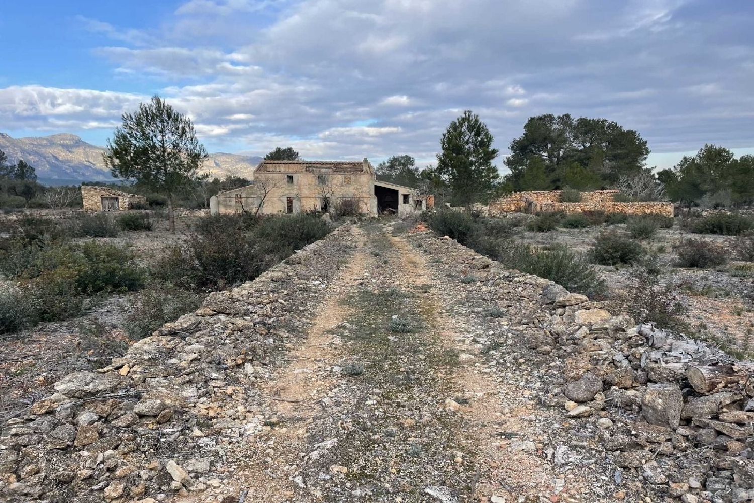  till salu hus på landet El Perelló Baix Ebre 14