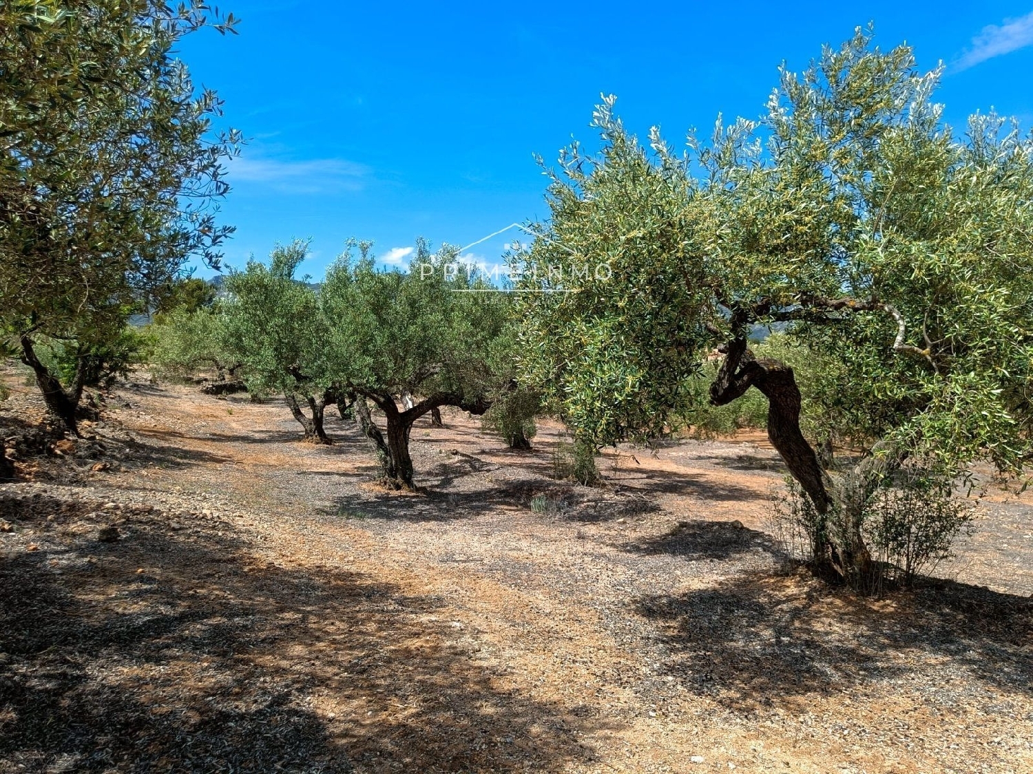  till salu hus på landet Perello-Mar Baix Ebre 4