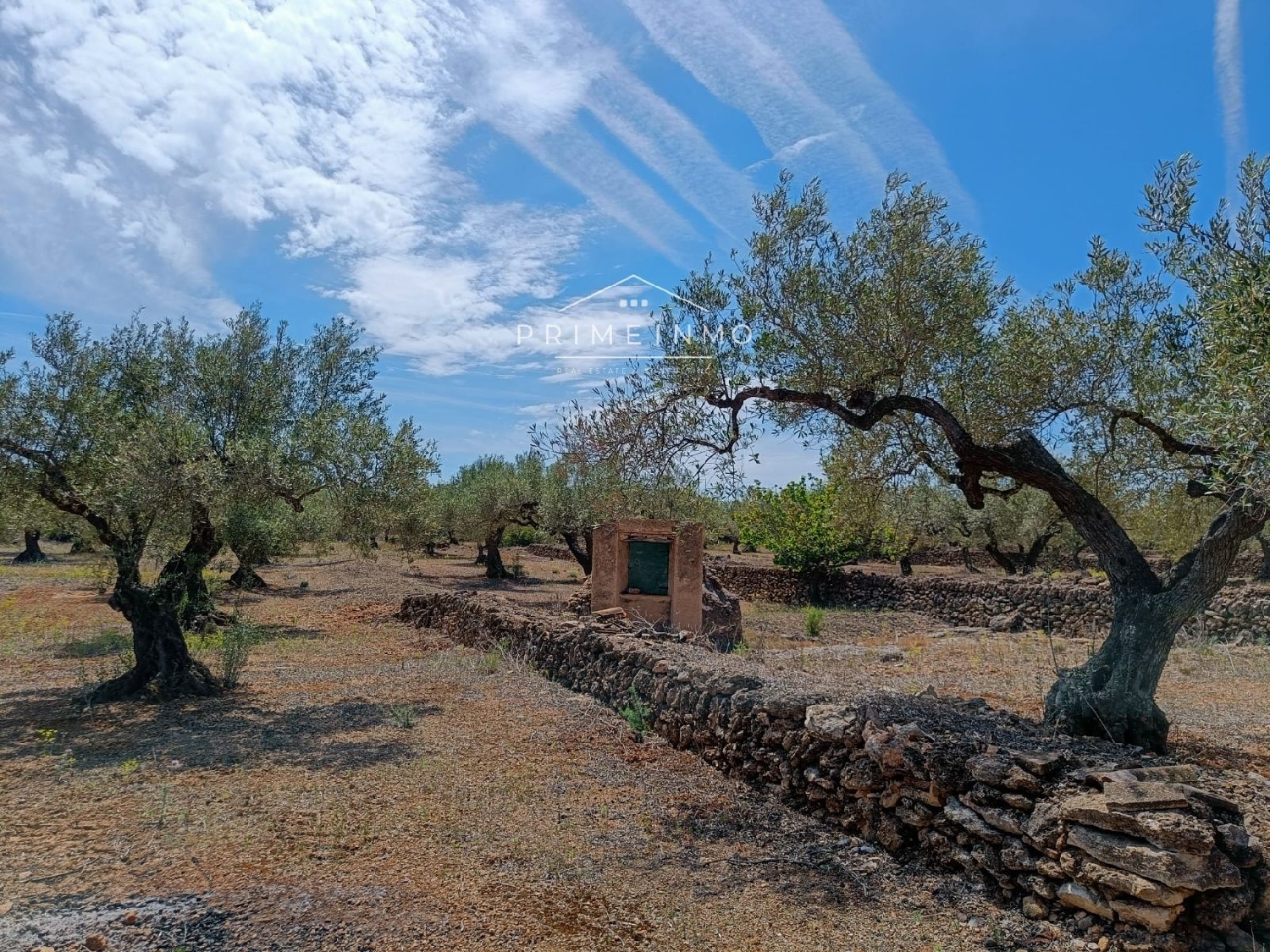  till salu hus på landet Perello-Mar Baix Ebre 5