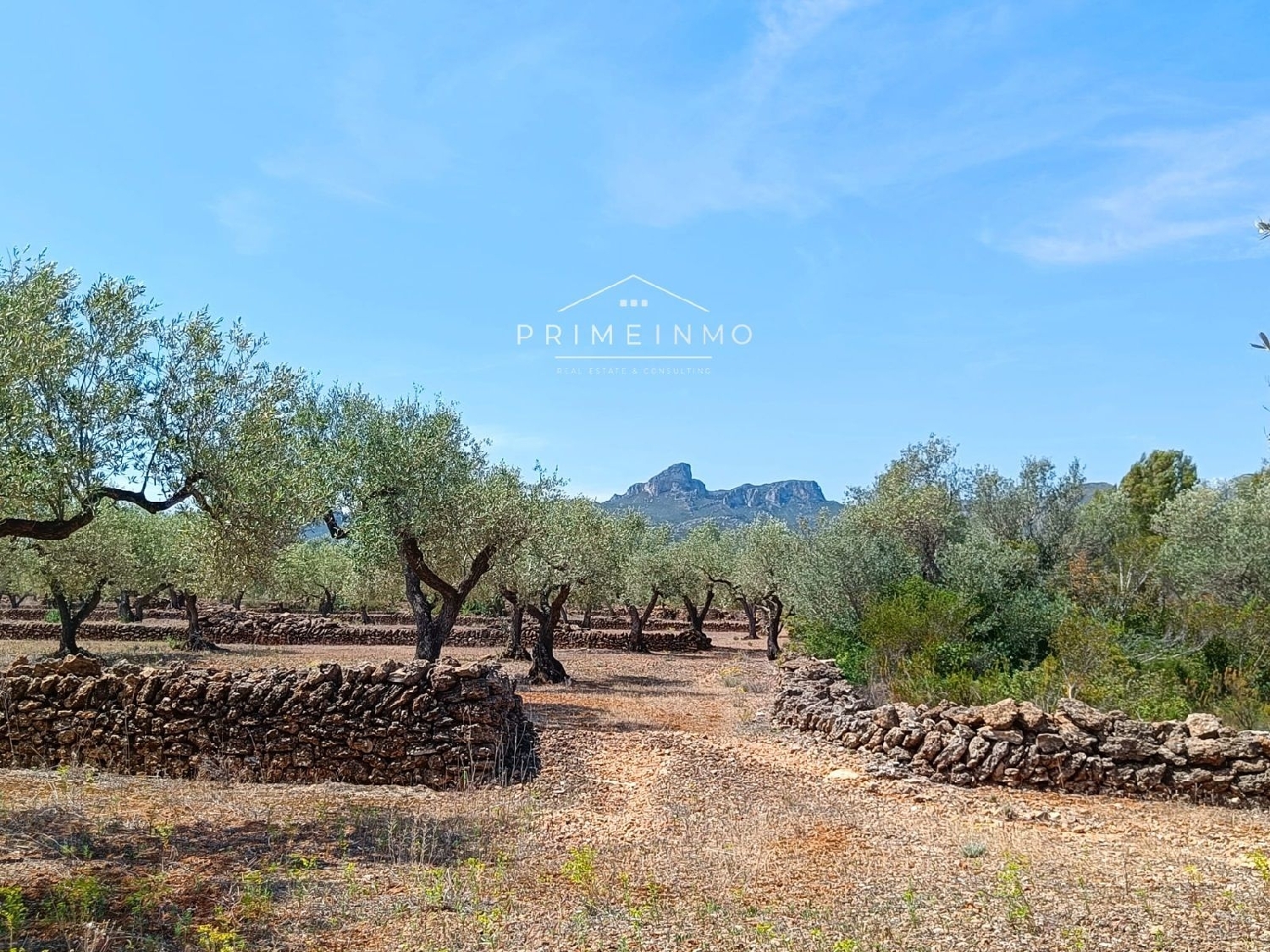  till salu hus på landet Perello-Mar Baix Ebre 8