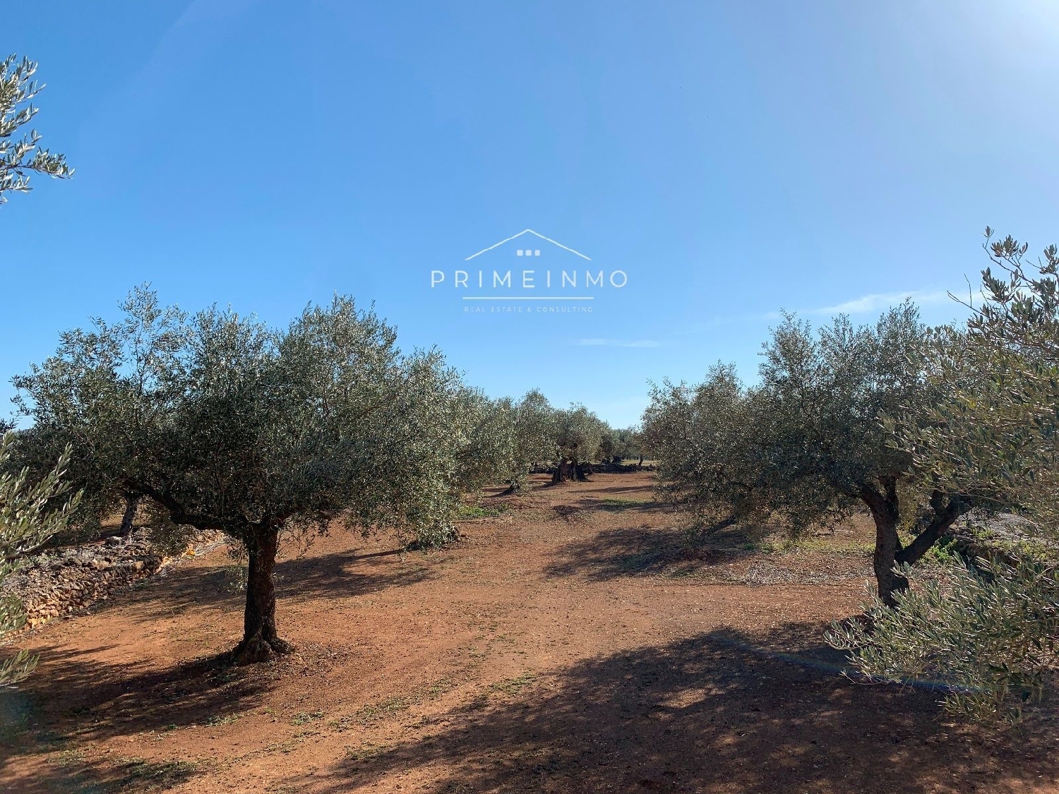  till salu hus på landet El Perelló Baix Ebre 7