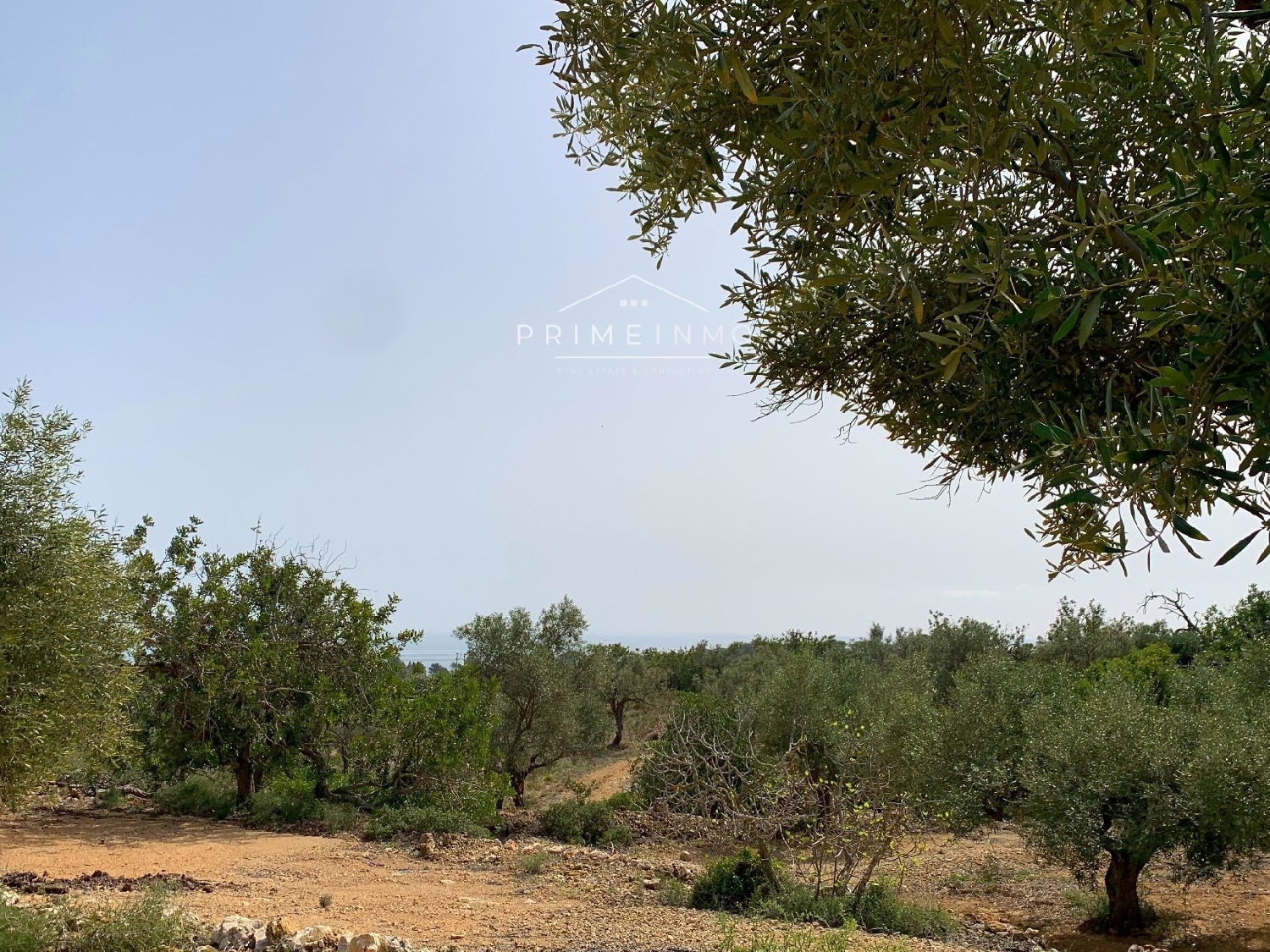  till salu hus på landet Perello-Mar Baix Ebre 6