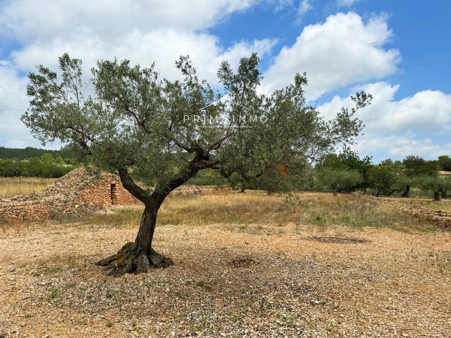  till salu hus på landet El Perelló Baix Ebre 8