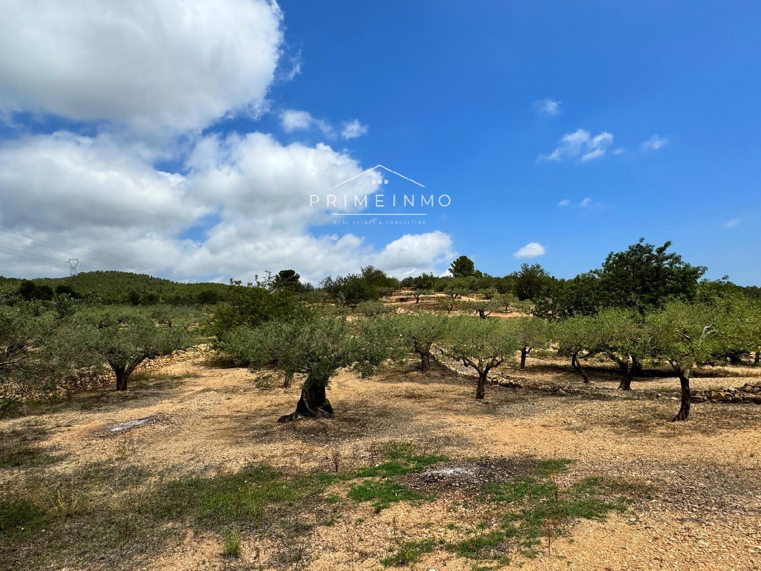  till salu hus på landet El Perelló Baix Ebre 5