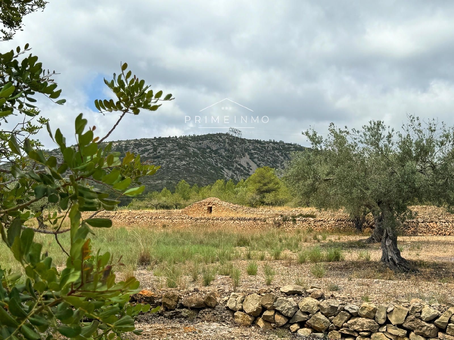 till salu hus på landet El Perelló Baix Ebre 3