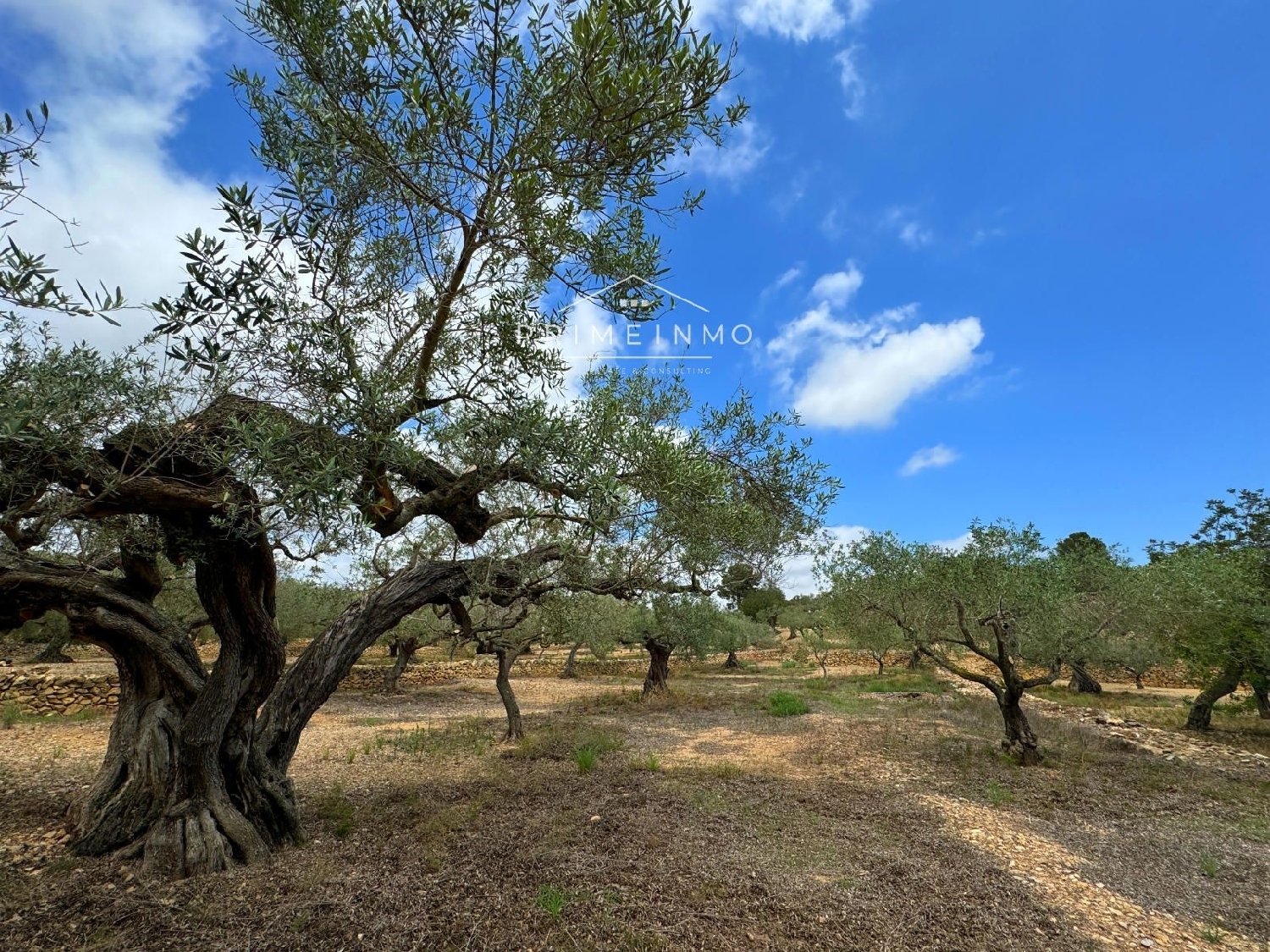  till salu hus på landet El Perelló Baix Ebre 6
