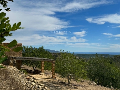 El Perelló Baix Ebre hus på landet foto 6229104