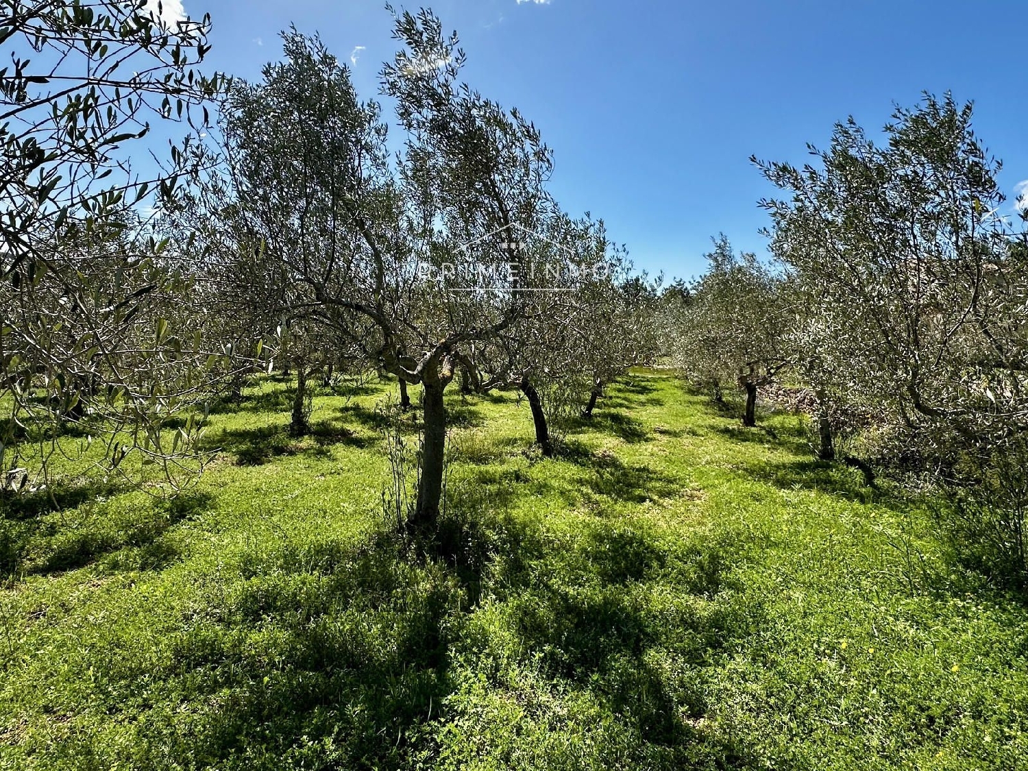 till salu hus på landet El Perelló Baix Ebre 2