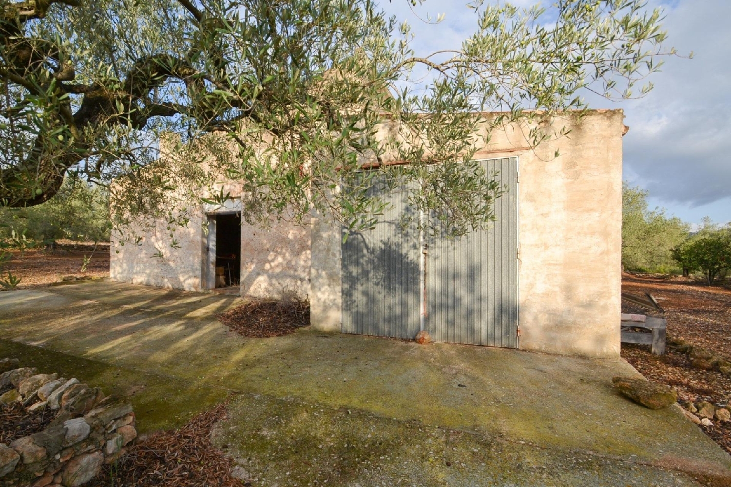  till salu hus på landet El Pla De Santa Maria Alt Camp 1