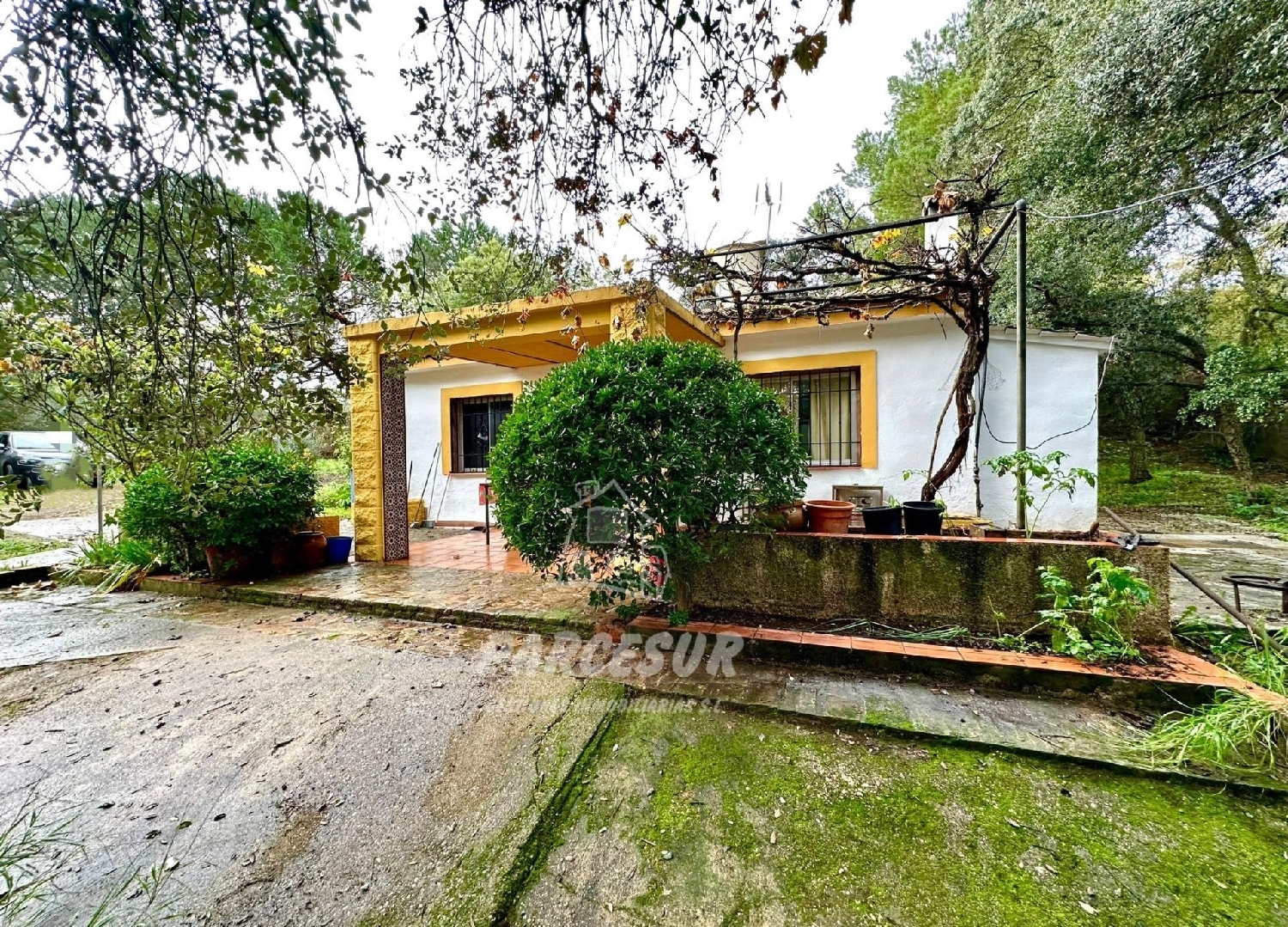 till salu hus på landet El Puerto Córdoba 2