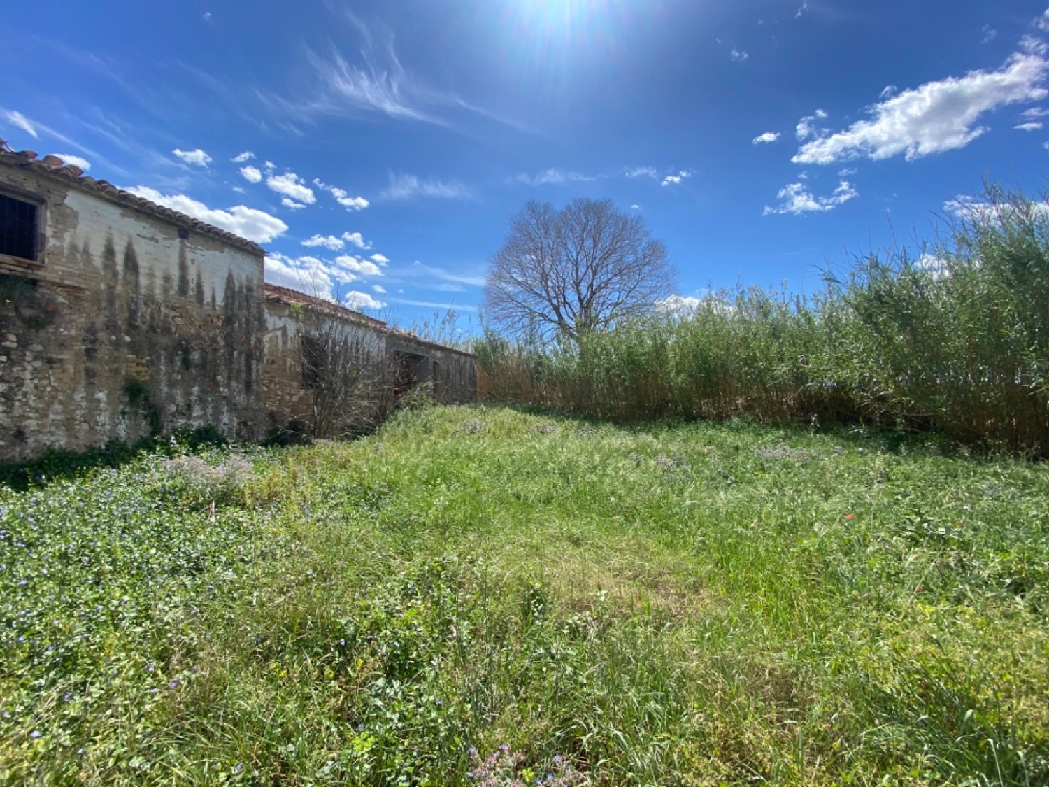 till salu hus på landet El Raval Del Pom Baix Ebre 2