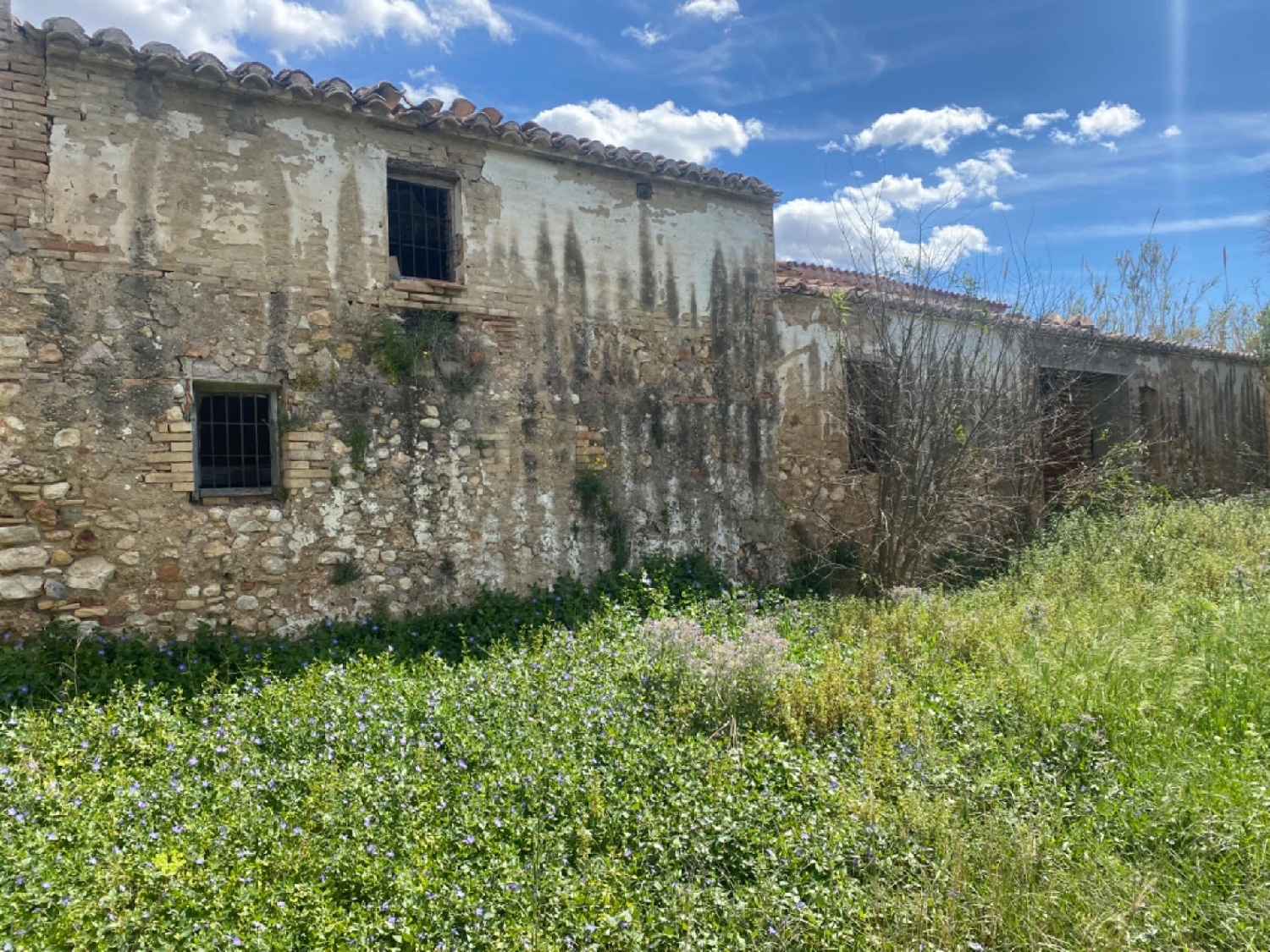  till salu hus på landet El Raval Del Pom Baix Ebre 5