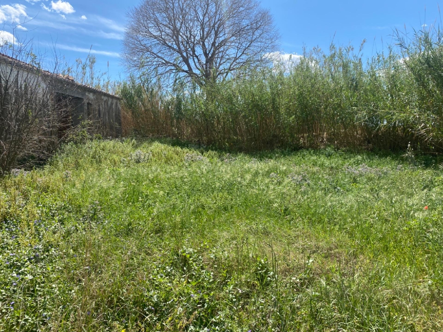  till salu hus på landet El Raval Del Pom Baix Ebre 4