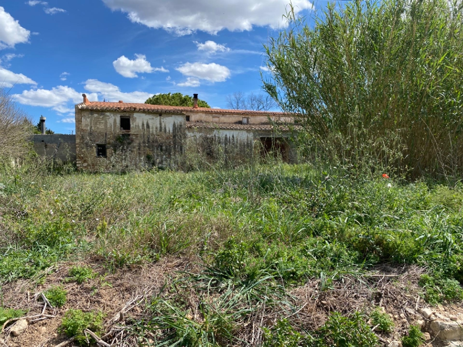  till salu hus på landet El Raval Del Pom Baix Ebre 6