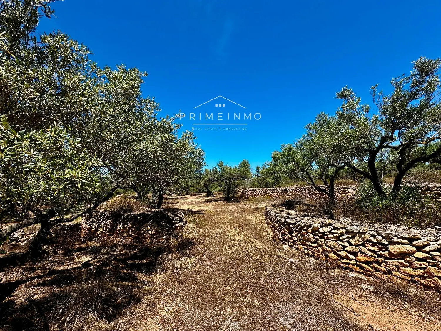 till salu hus på landet Santa Rosa De Lima Baix Ebre 13