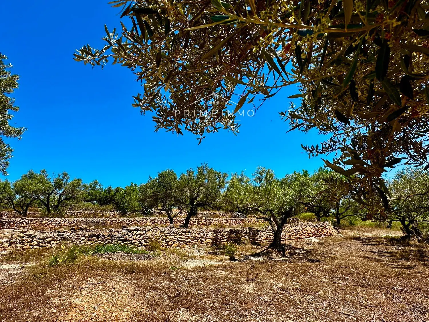  till salu hus på landet Santa Rosa De Lima Baix Ebre 12