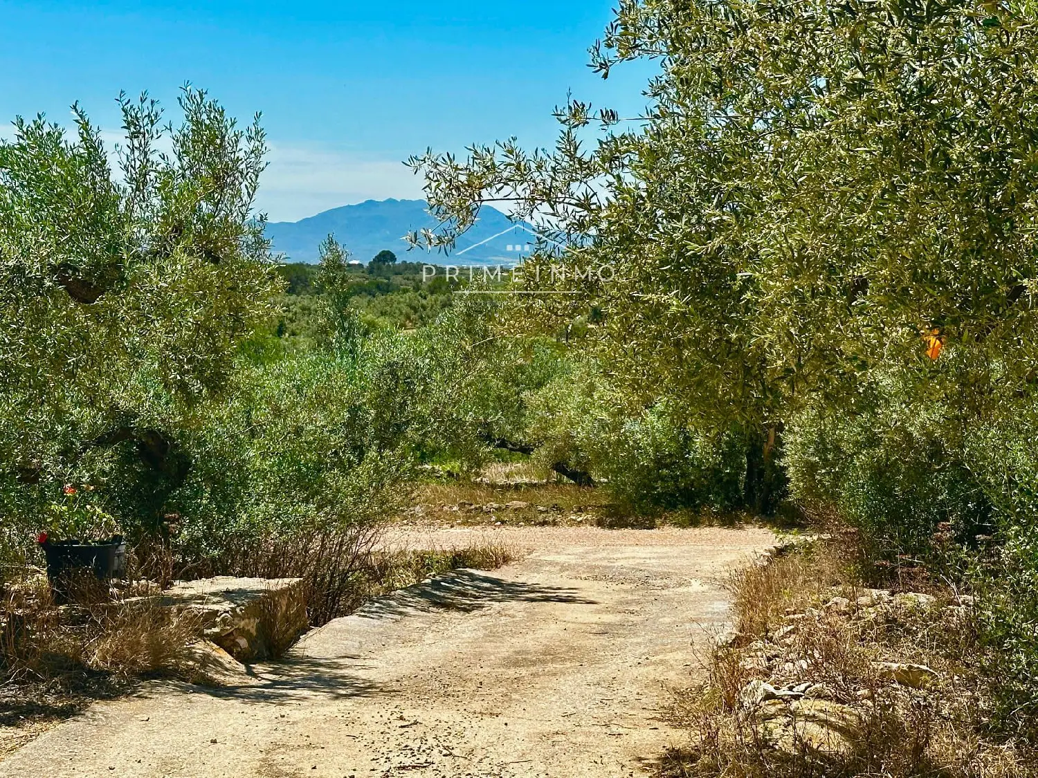  till salu hus på landet Santa Rosa De Lima Baix Ebre 32