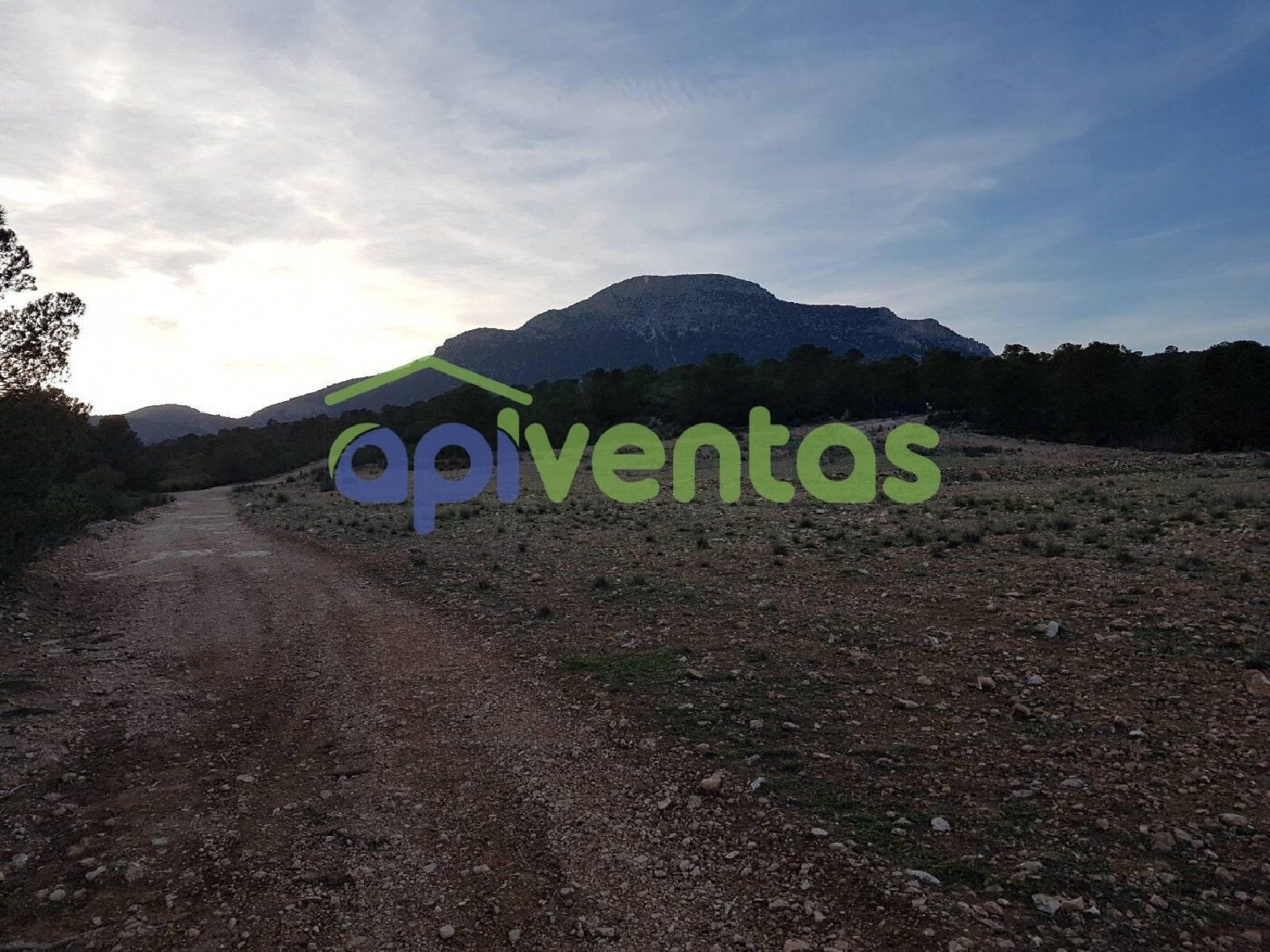  te koop boerderij Los Juanetes Alto Guadalentín 4