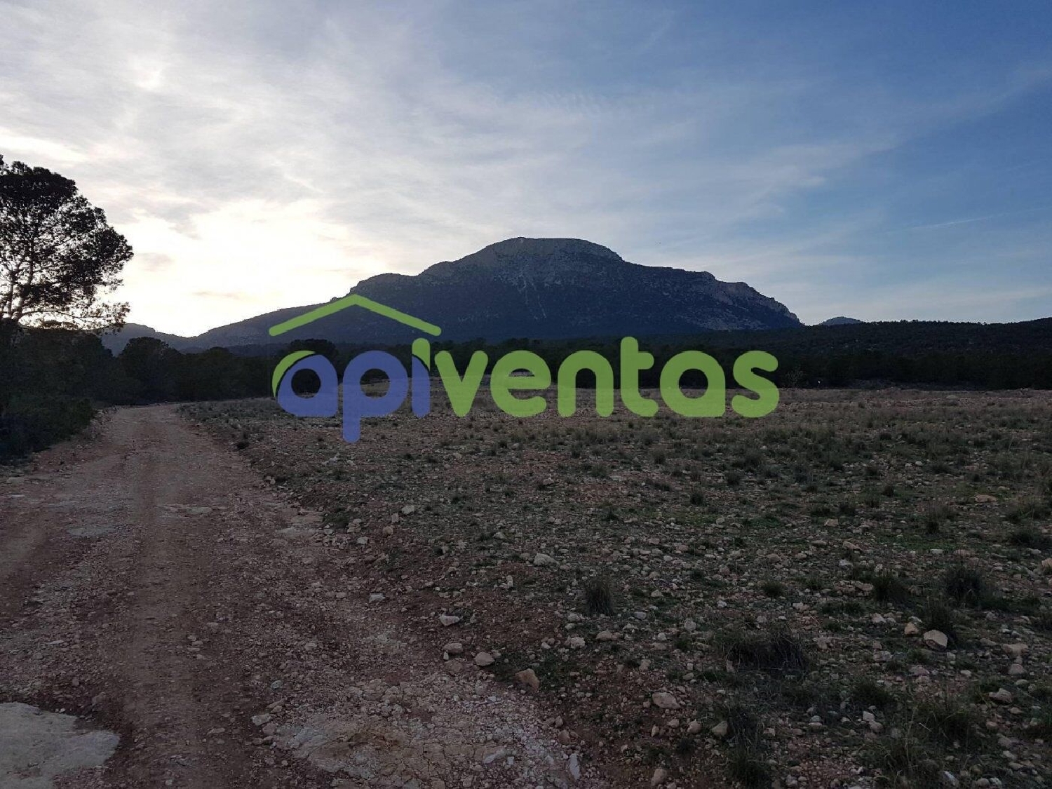  te koop boerderij Los Juanetes Alto Guadalentín 5