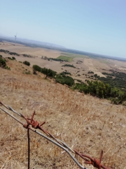 El Torno Campiña De Jerez hus på landet foto 6225982