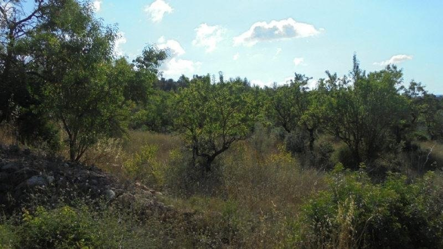  en venta finca rústica Els Guiamets Priorat 3