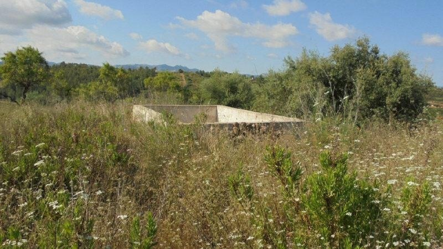  en venta finca rústica Els Guiamets Priorat 2