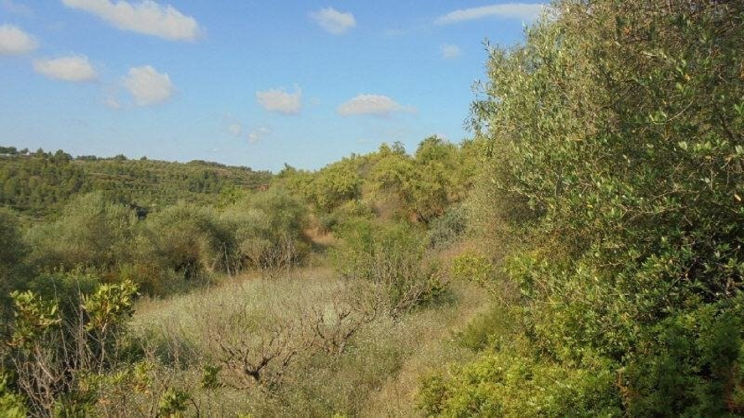 en venta finca rústica Els Guiamets Priorat 7